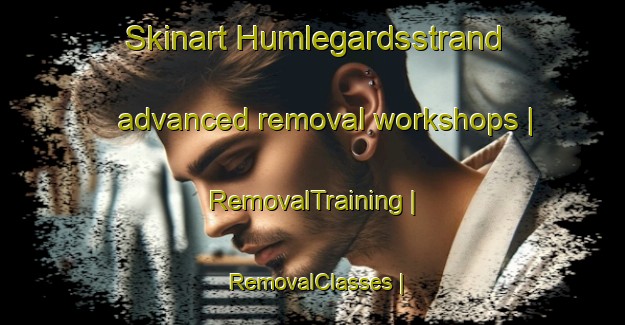Skinart Humlegardsstrand advanced removal workshops | RemovalTraining | RemovalClasses | SkinartTraining-Sweden
